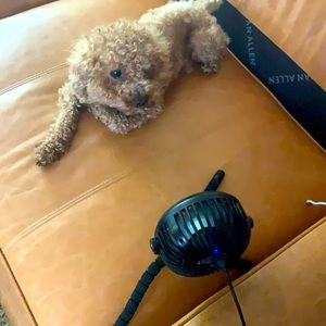 Meet your Posher, Qs